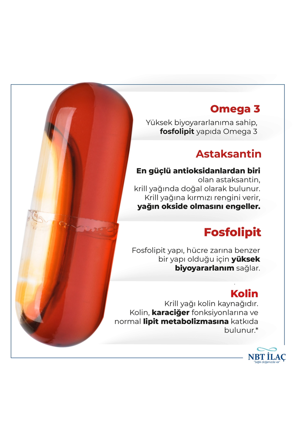 Nbtlife Krill Oil 30 Kapsül