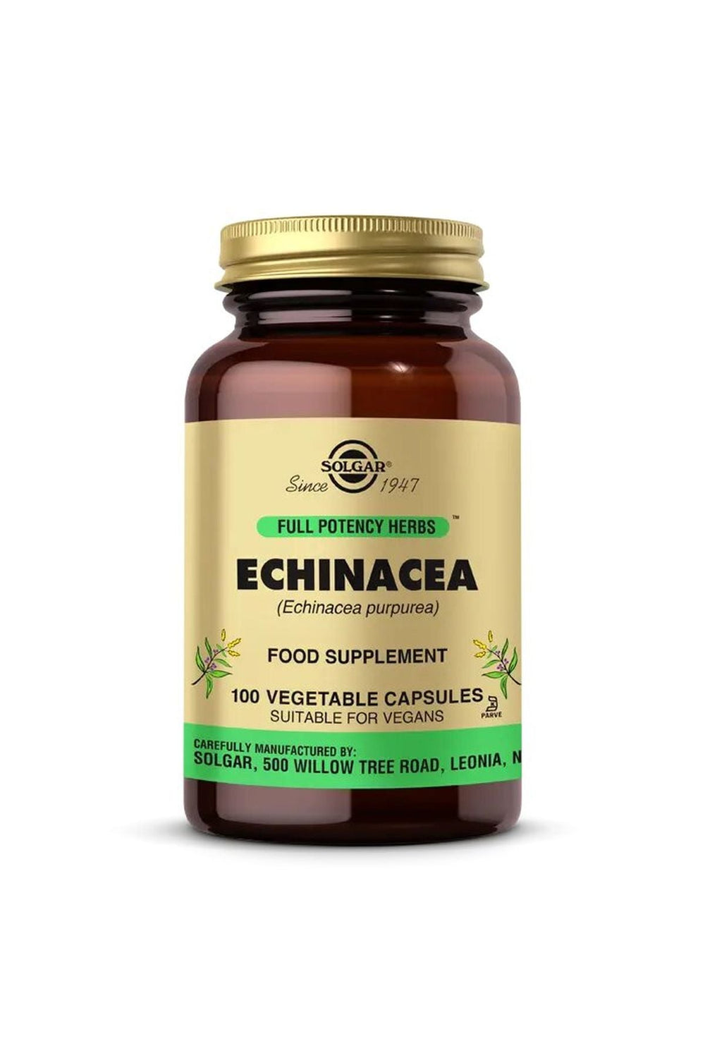 Solgar Echinacea 100 Kapsül