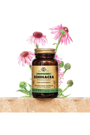Solgar Echinacea 100 Kapsül