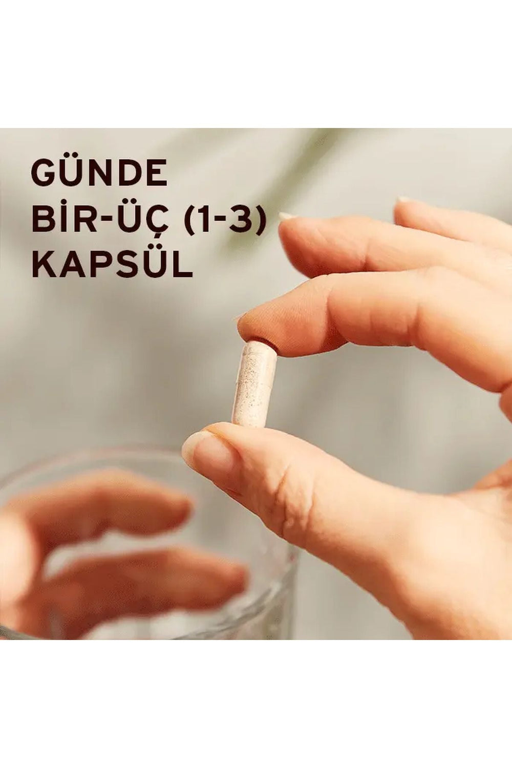 Solgar Korean Ginseng 50 Kapsül