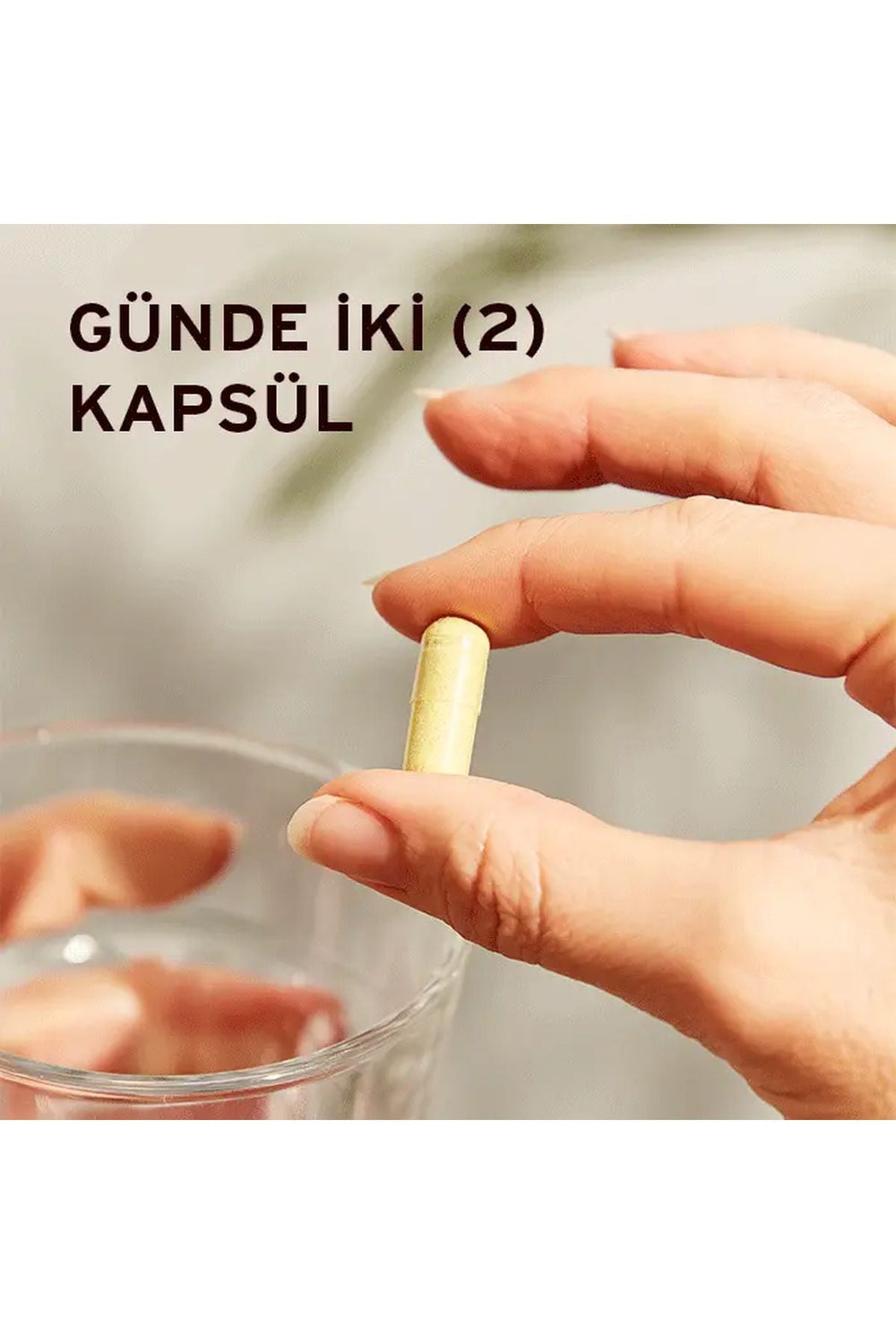 Solgar Quercetin Complex 50 Kapsül