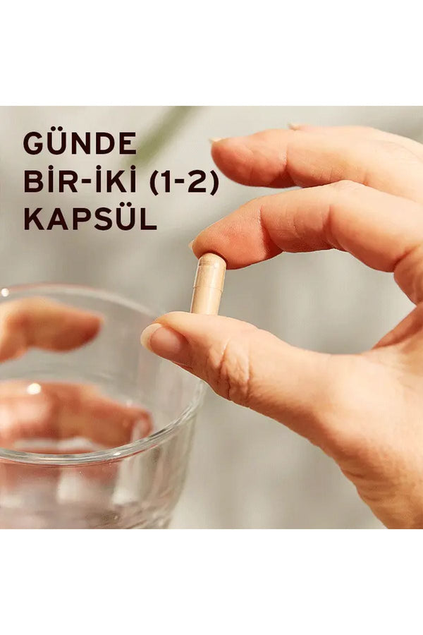 Solgar Reishi Shiitake Maitake Mushroom Extract 50 Kapsül