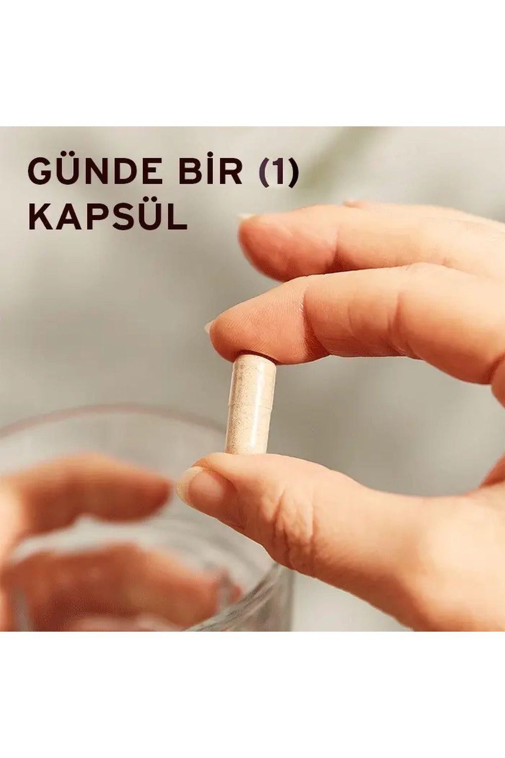 Solgar Rhodiola Root Extract 60 Kapsül