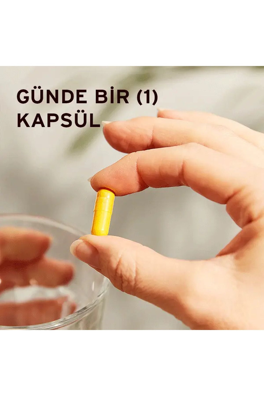 Solgar Turmeric Root Extract 60 Kapsül