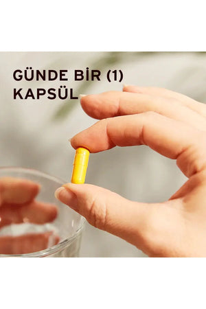 Solgar Turmeric Root Extract 60 Kapsül