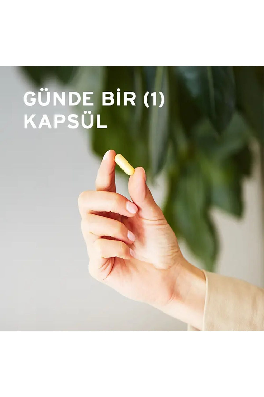Solgar Vitamin B-Complex "50" 50 Kapsül