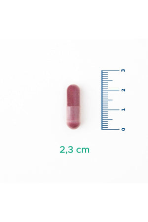 Velavit V-Cranberry & Vit C 30 Kapsül