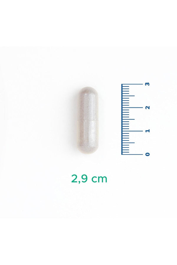 Velavit V-Firstect with Colostrum 30 Kapsül