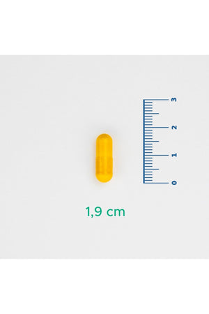 Velavit Viva Ceramide 30 mg 30 Kapsül