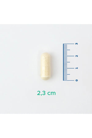 Velavit V-Probiotics with Enzymes 30 Kapsül