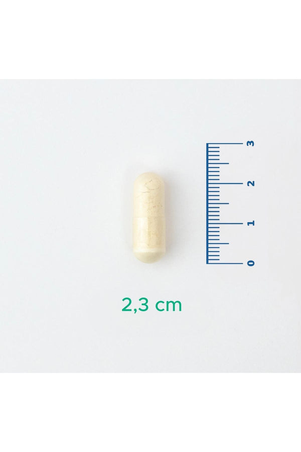 Velavit V-Probiotics with Enzymes 30 Kapsül