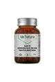 Venatura CoQ-10 Koenzim Q-10 100 mg 30 Kapsül