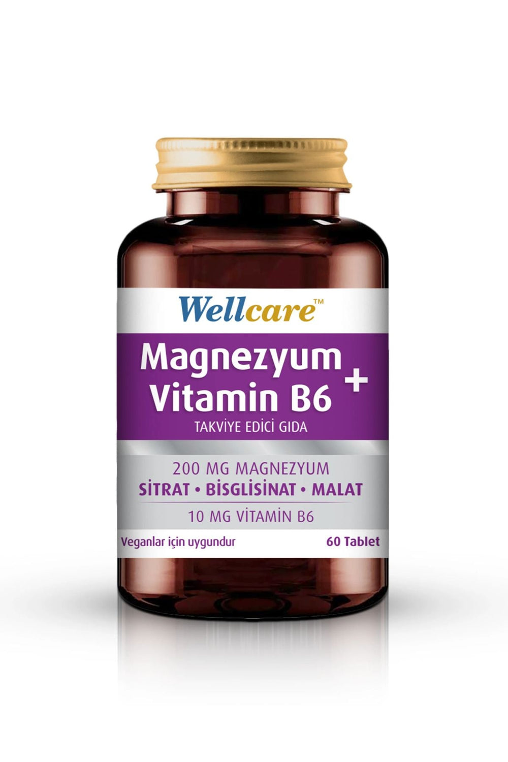 Wellcare Magnezyum + Vitamin B6 60 Tablet