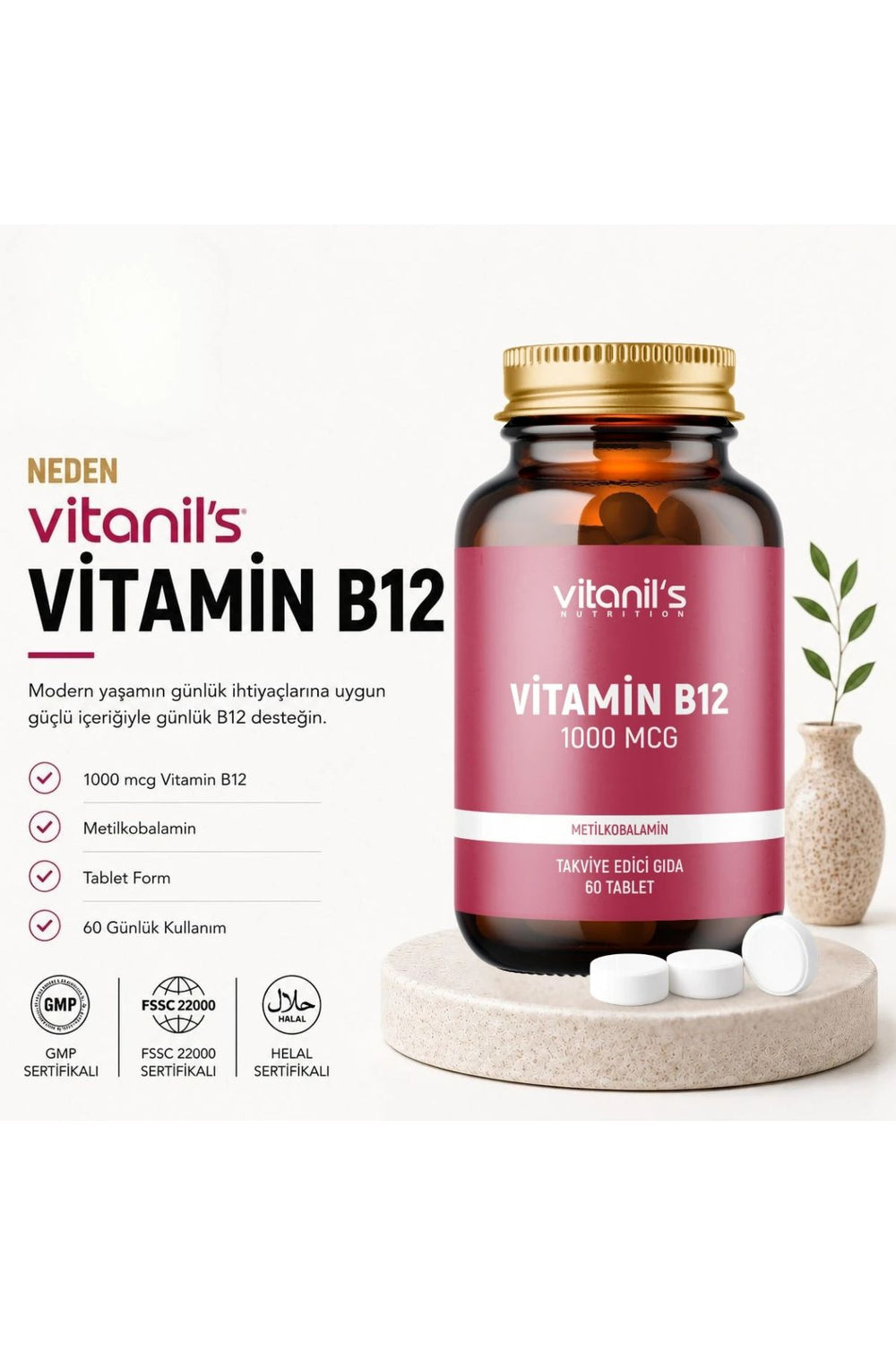 Vitanil's Vitamin B12 60 Tablet