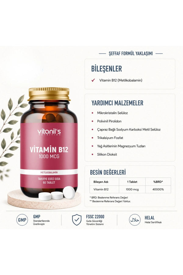 Vitanil's Vitamin B12 60 Tablet