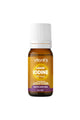 Vitanil's İyot Damlası 20 ml